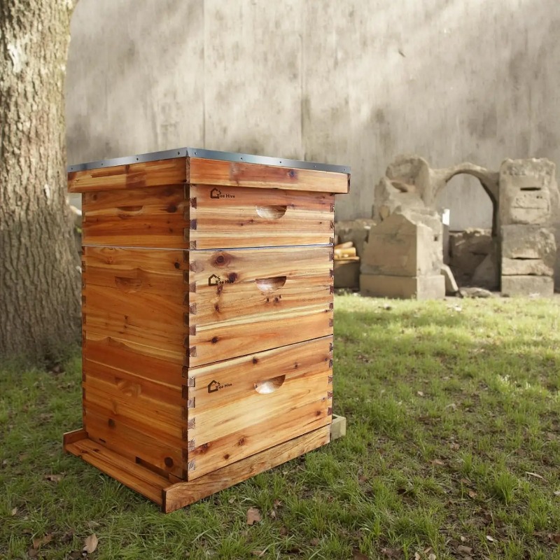 Kompletny zestaw ula 10-ramkow – Beehive Frame Wax recenzja i cena